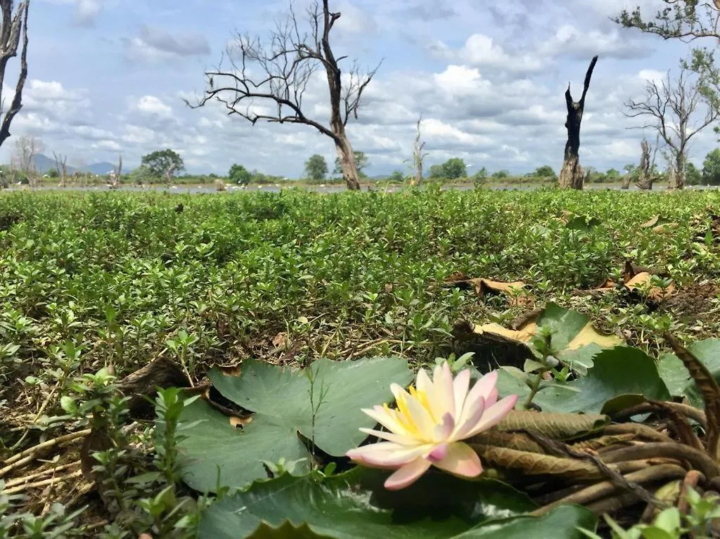 Gasthuis Goddess Garden Sigiriya Hotel