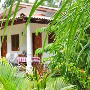 Amenity Bed & Breakfast