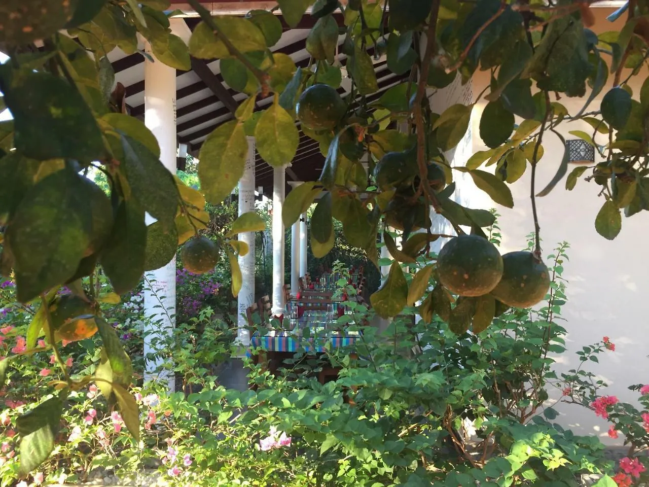 Goddess Garden Sigiriya Hotel
